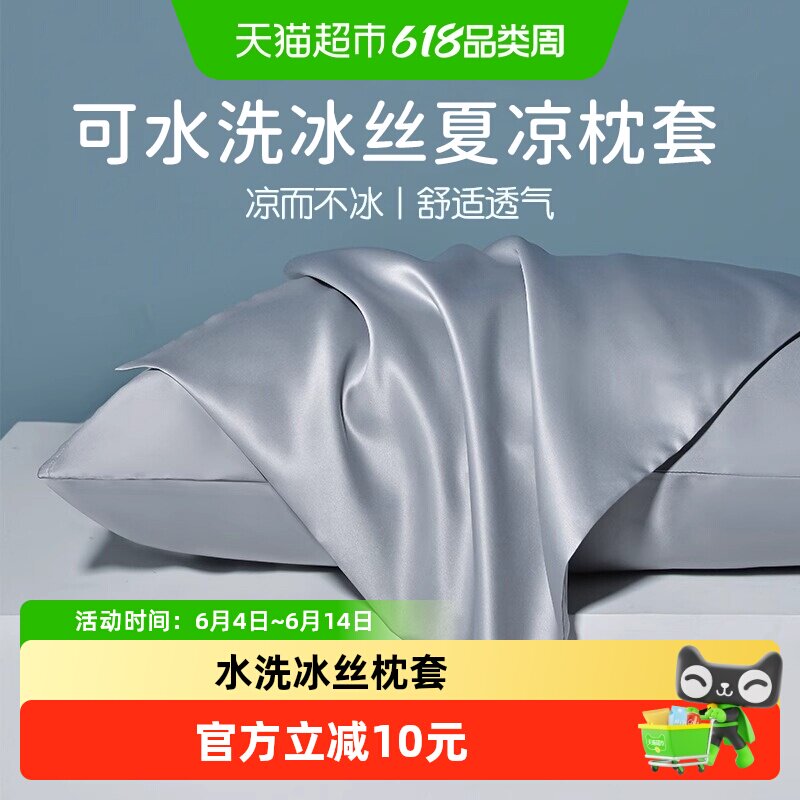 轻奢夏季水洗冰丝枕套一对装家用夏天枕头套单双人枕芯内胆套凉感