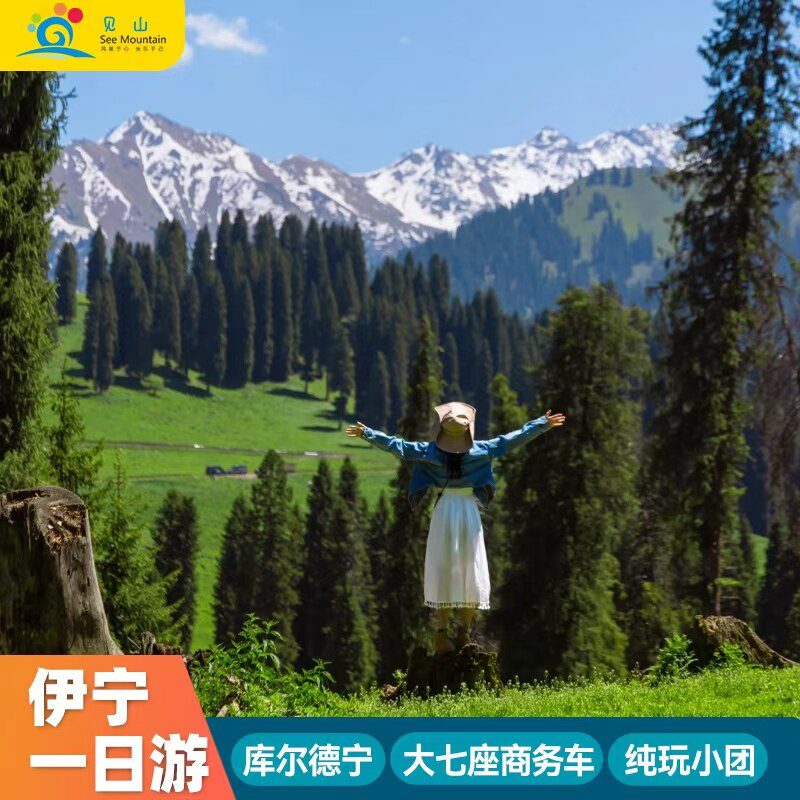 伊宁直达库尔德宁1日深度游｜纯玩小团·全程大七座不换车
