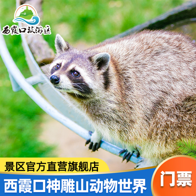 威海神雕山门票