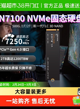 闪迪sn7100固态硬盘笔记本PC电脑m2接口大容量3A游戏