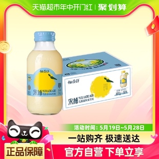 20瓶网红饮品聚会出游 柚香谷宋柚乳酸菌风味饮料300g