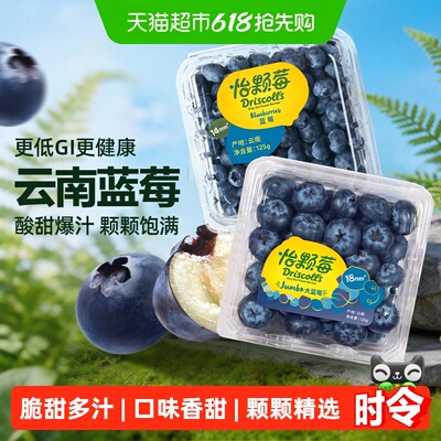 怡颗莓新鲜应季蓝莓