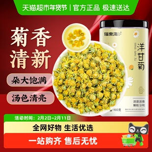 福东海洋甘菊新鲜晾晒菊茶茶花草茶搭野菊花干花原料胎菊金丝皇菊