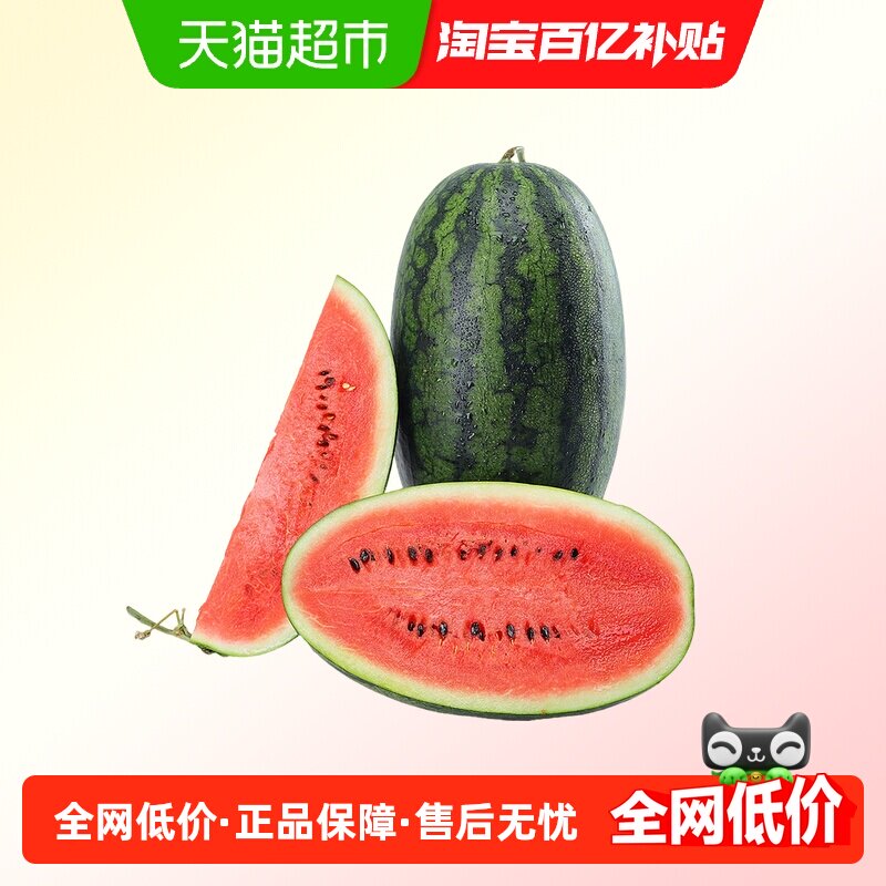 广西黑美人西瓜新鲜水果,水产肉类/新鲜蔬果/熟食,西瓜,淘宝优惠券,粉丝福利购,淘宝优惠卷