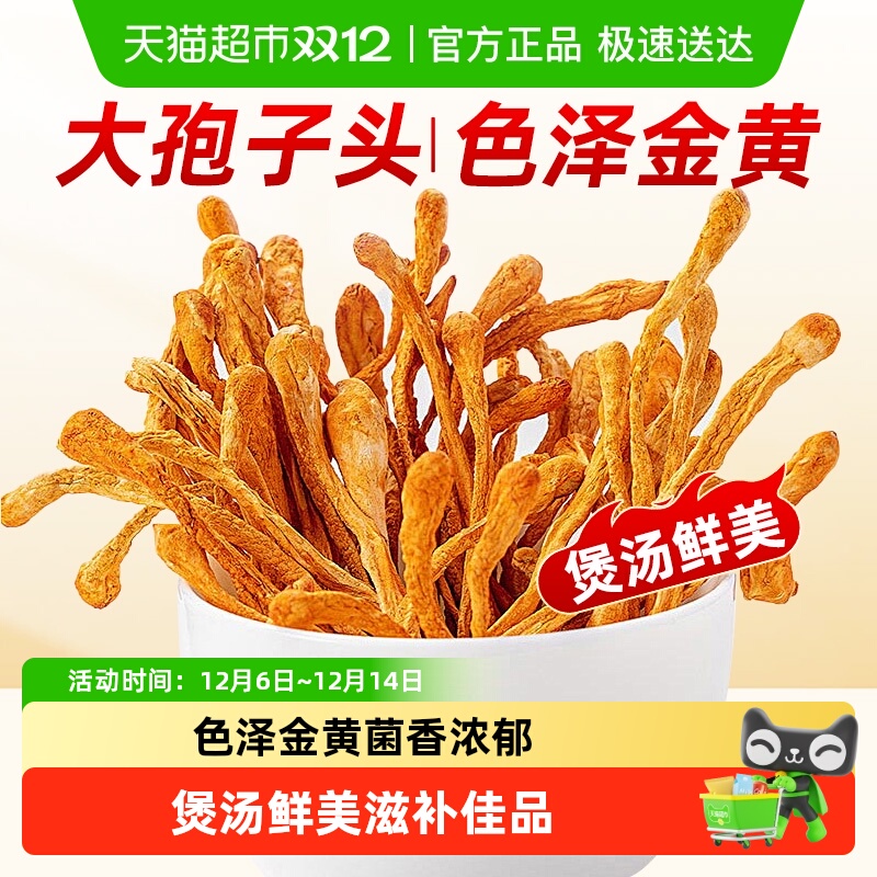 虫草花大孢子头蛹虫草