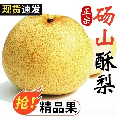 安徽正宗砀山酥梨脆梨香甜梨脆甜多汁