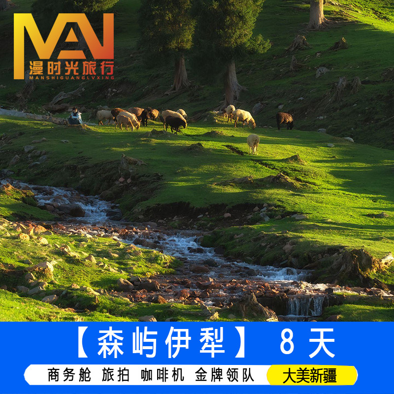 2-6人小拼团夏游新疆旅游伊宁那拉提夏塔草原独库赛里木湖旅拍8天