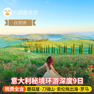 自营 意大利9日多洛米蒂刀锋山 阿马尔菲海岸 马泰拉 蘑菇屋