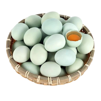 乌鸡蛋新鲜谷物鸡蛋绿壳蛋农家散养优质膳食营养青皮蛋