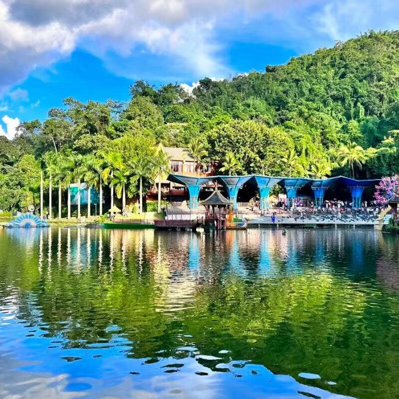 [西双版纳原始森林公园-大门票]西双版纳原始森林公园-大门票