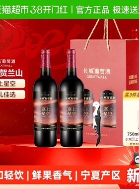 长城塞上星空典藏干红葡萄酒750ml*2瓶双支礼盒年货送礼宁夏产区