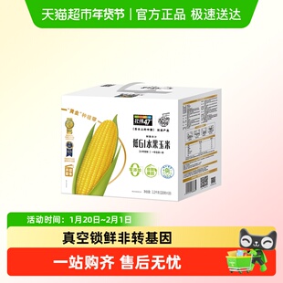 北纬47°低GI水果玉米棒开袋即食新鲜真空袋装黑龙江