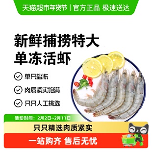 厄瓜多尔大虾鲜活速冻虾南美白虾新鲜冷冻大虾2030特大号生鲜水产