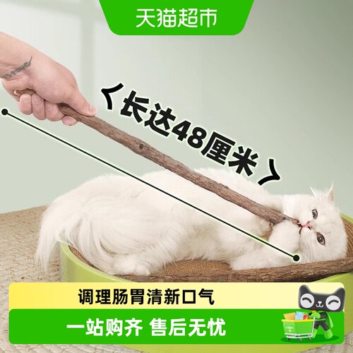Hoopet华元宠具木天蓼磨牙棒增食