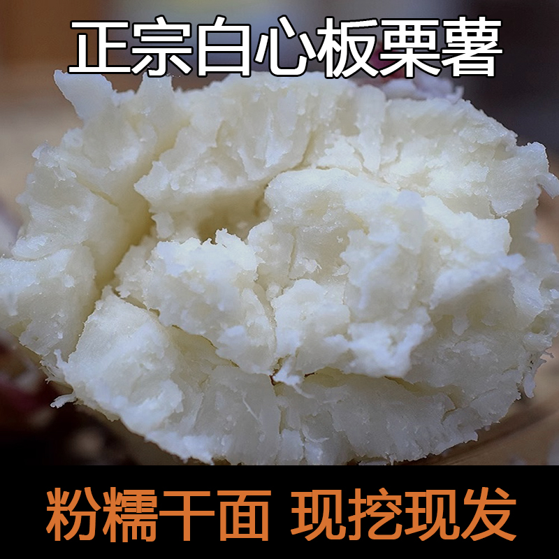 正宗白心板栗薯农家红皮白肉红薯新鲜白瓤番薯地瓜白薯山芋粉糯面