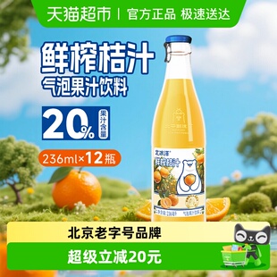 中华老字号北冰洋鲜榨桔汁气泡果汁236ml 果汁气泡水 12玻璃瓶装