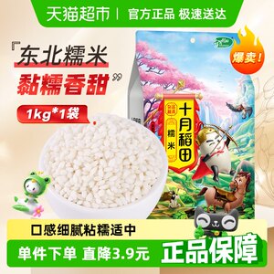 十月稻田糯米东北糯米