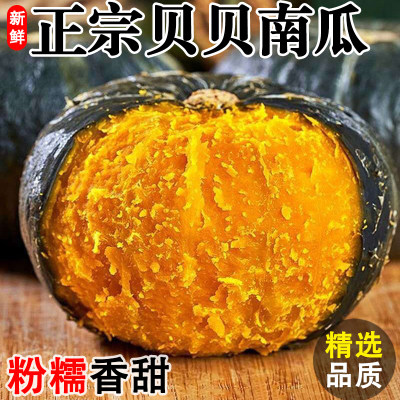 贝贝南瓜正宗板栗味小南瓜新鲜宝宝辅食粉糯营养丰富优质老南瓜