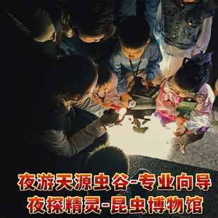 西双版纳基诺山雨林徒步+夜游天源虫谷/夜探雨林精灵/亲子一日游