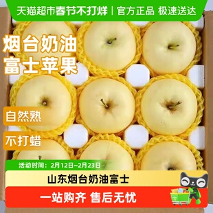 山东烟台黄金奶油富士苹果当季正宗奶油苹果时令鲜果一整箱