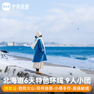 9人纯玩日本旅游北海道6天半自助旅行跟报团游洞爷湖小樽美瑛雪景