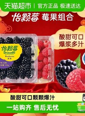 Driscoll's怡颗莓云南新鲜树莓黑莓新鲜水果鲜果应季酸甜大鲜果