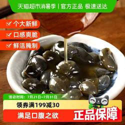 遇上鲜舟山醉泥螺即食罐装黄泥螺新鲜生腌泥螺海鲜宁波特产大