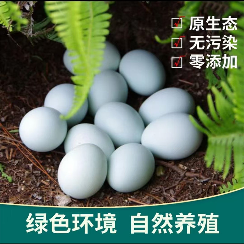 正宗土鸡蛋农家山林散养新鲜鸡蛋乌鸡蛋谷物喂养40克初生蛋多规格,水产肉类/新鲜蔬果/熟食,鸡蛋,淘宝优惠券,粉丝福利购,淘宝优惠卷