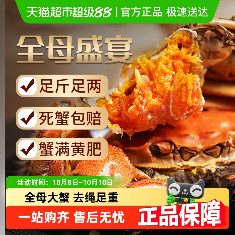 鱻谣大闸蟹全母特大螃蟹