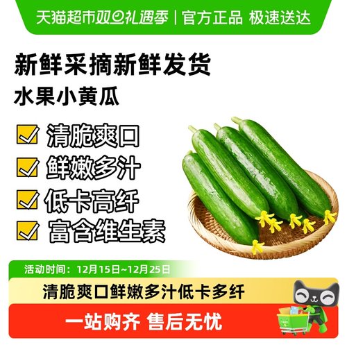 小黄瓜嫩青瓜新鲜现摘水果