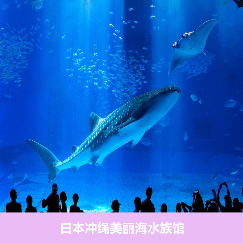 [冲绳美丽海水族馆-大门票]日本冲绳美丽海水族馆