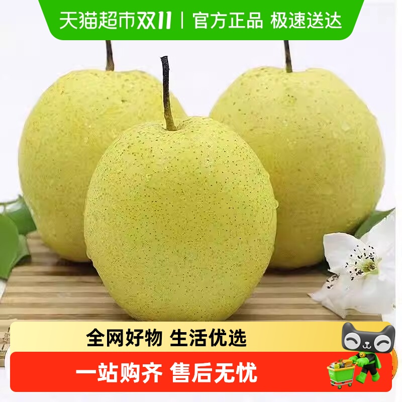 果园密码脆甜爆汁香梨