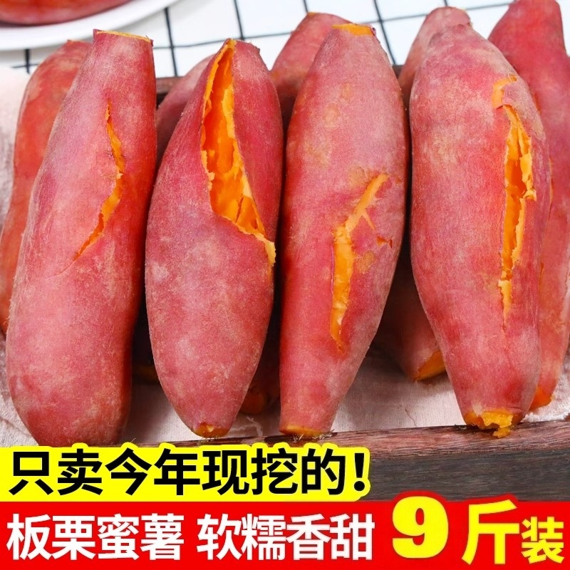 新鲜蜜薯板栗红薯沙地糖心地瓜农家自种番薯现挖黄心香薯山芋