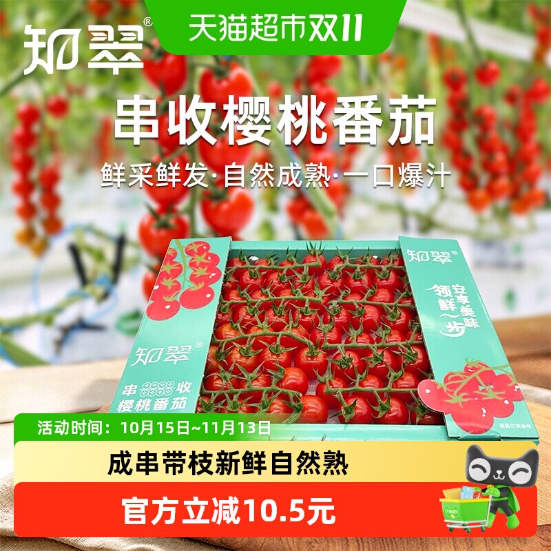 【知翠】红串收樱桃小番茄1kg自然熟小柿子新鲜水果生吃