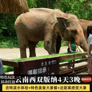 云南西双版纳4天3晚旅游野象谷原曼听原始森林傣族园赠电瓶车