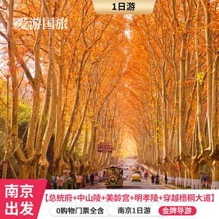 南京一日总统府-中山陵美龄宫-梧桐大道-明孝陵-音乐台 9人VIP团