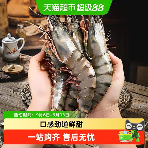 首鲜道黑虎虾鲜活大只鲜甜
