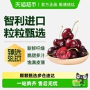 详情领优惠 预售智利进口车厘子礼盒樱桃jjj原箱水果 臻选