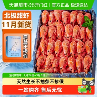 北极虾甜虾冰虾头籽腹籽大虾北极熊新鲜鲜活海鲜虾即食