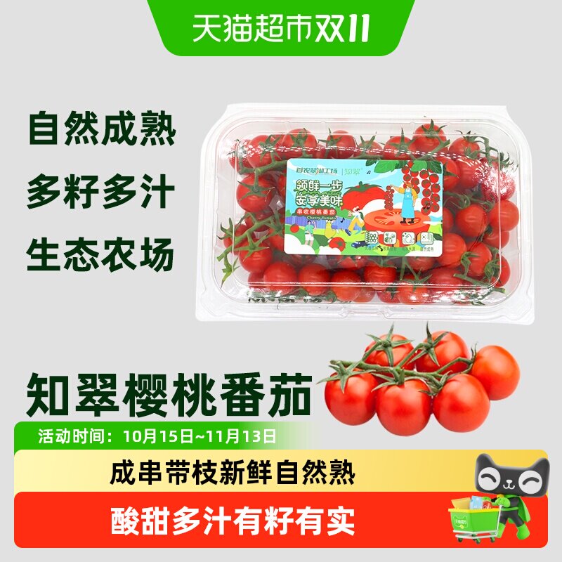 知翠串收樱桃小番茄低GI自然熟新鲜现摘生吃熊蜂授粉生态农场物理