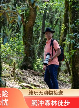 高黎贡山毛毛球始祖原始森林【自然疗愈9公里】中度徒步