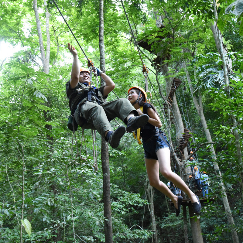[西双版纳原始森林公园-大门票+往返电瓶车]西双版纳原始森林公园门票