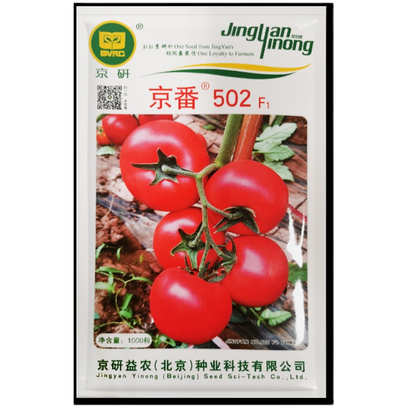 京研番茄种子原味水果西红柿普罗旺斯粉果铁皮柿子阳台蔬菜种籽孑