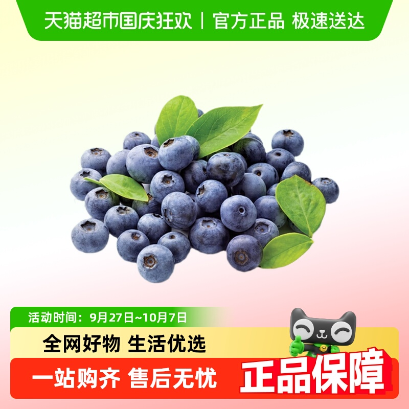 国产蓝莓1盒 125g(果径约14mm)