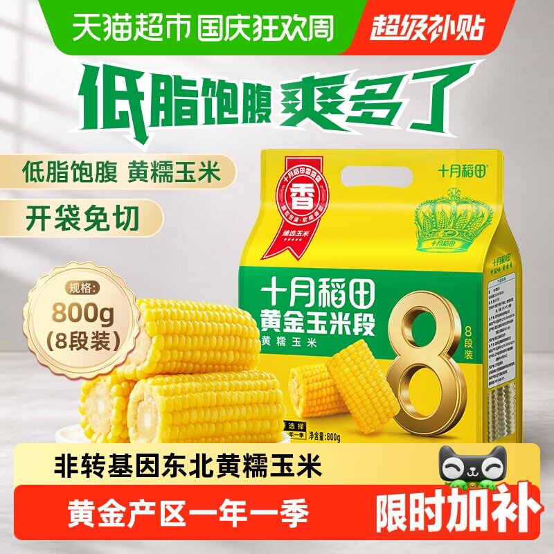 十月稻田东北黄糯玉米低脂软糯图片
