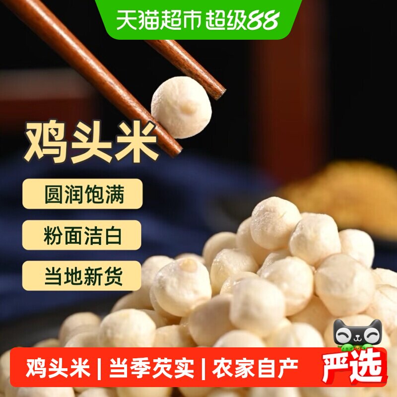 苏州鸡头米大颗粒特产新鲜当季芡实非干货农家自产去皮特级新鲜