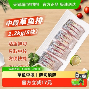 鱻谣草鱼鱼身1.2kg切块新鲜现杀鱼块鱼尾鱼头瓦块鱼红烧鱼块商用