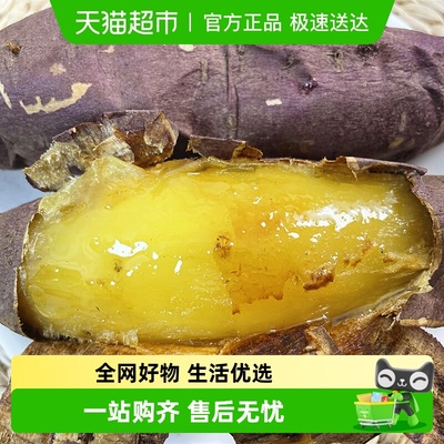 榴莲蜜薯红薯番薯地瓜山芋