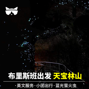 懒猫 澳洲旅游布里斯班出发蓝光萤火虫天宝林山英文小团一日游