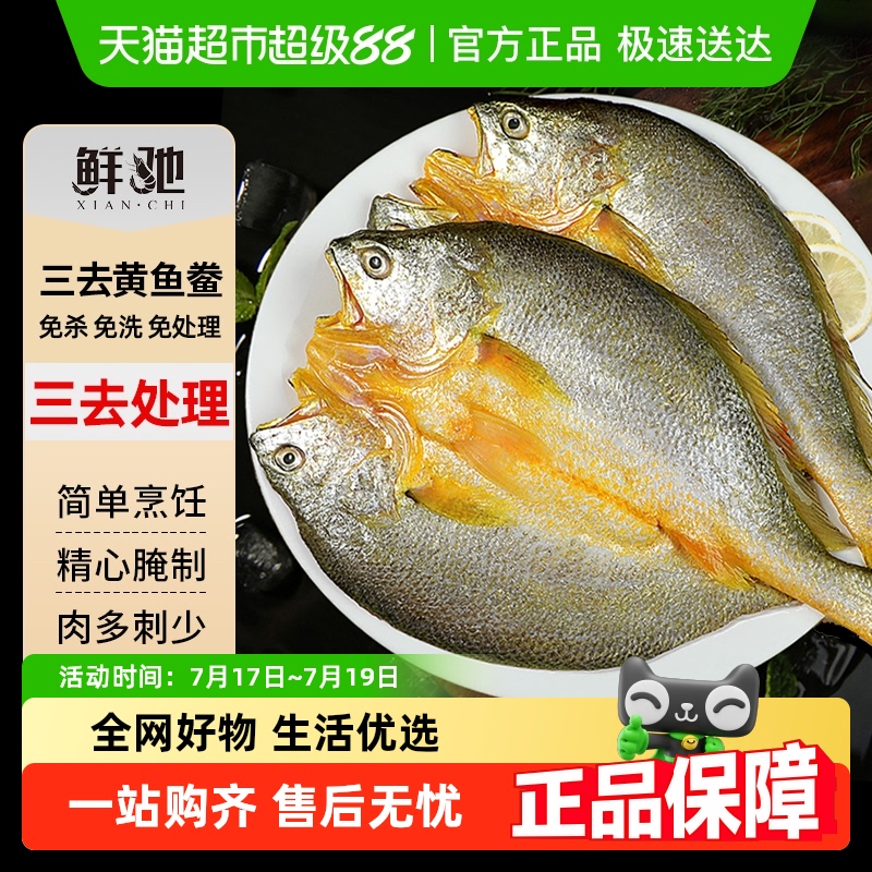 黄鱼鲞开背新鲜黄花鱼